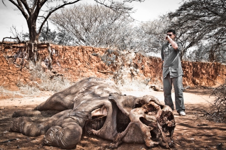 Yao Ming Encounters a Poached Elephant in Northern Kenya